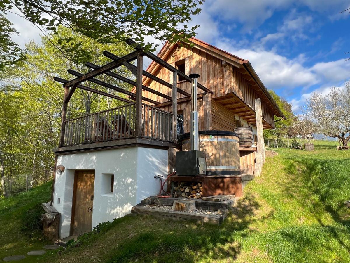 Kellerstoeckl Huetter Villa Gussing Luaran gambar