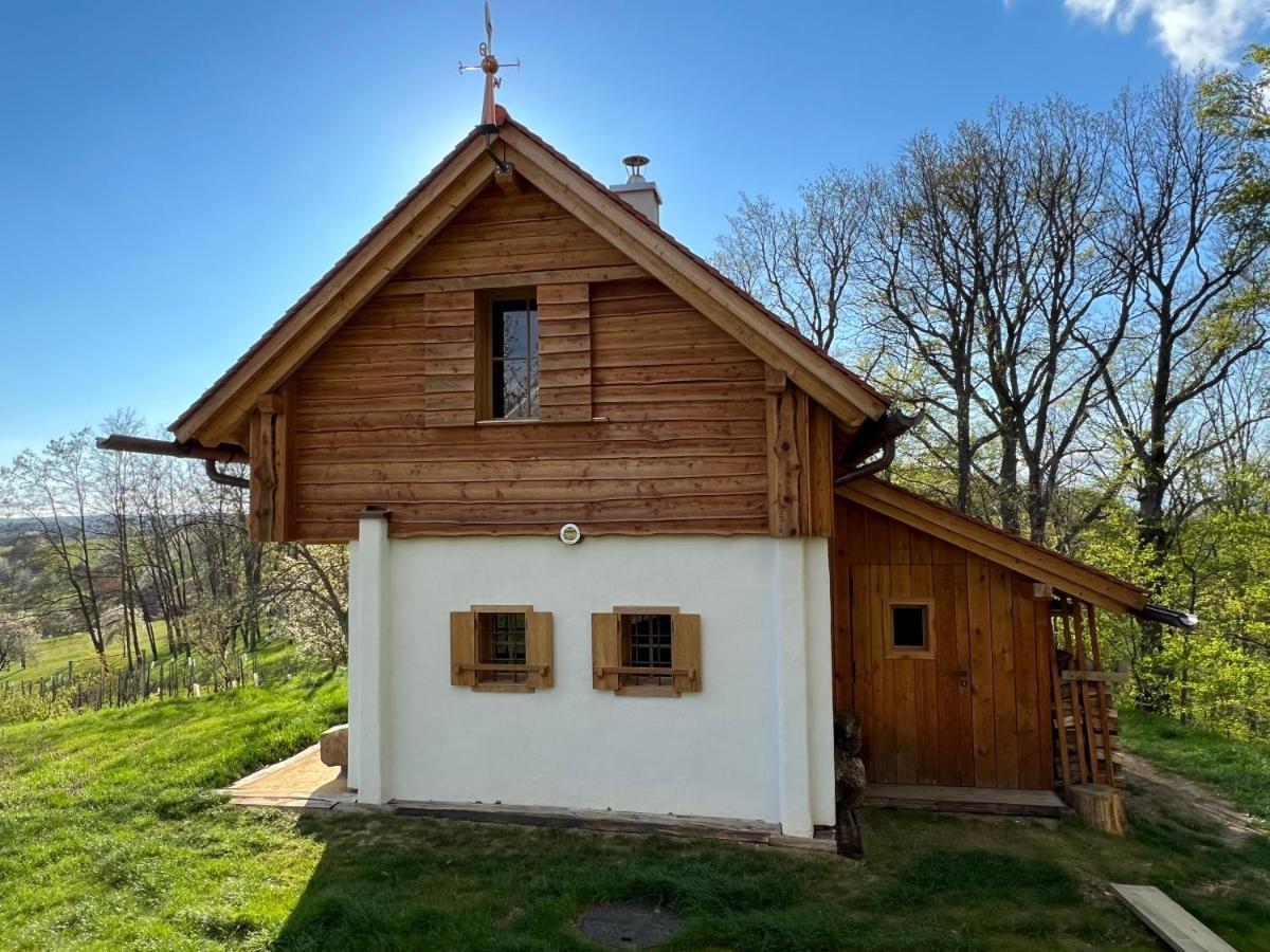 Kellerstoeckl Huetter Villa Gussing Luaran gambar