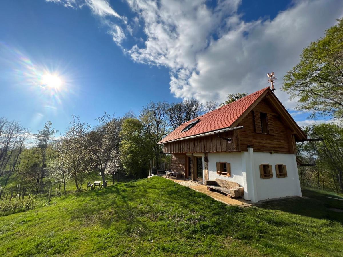 Kellerstoeckl Huetter Villa Gussing Luaran gambar