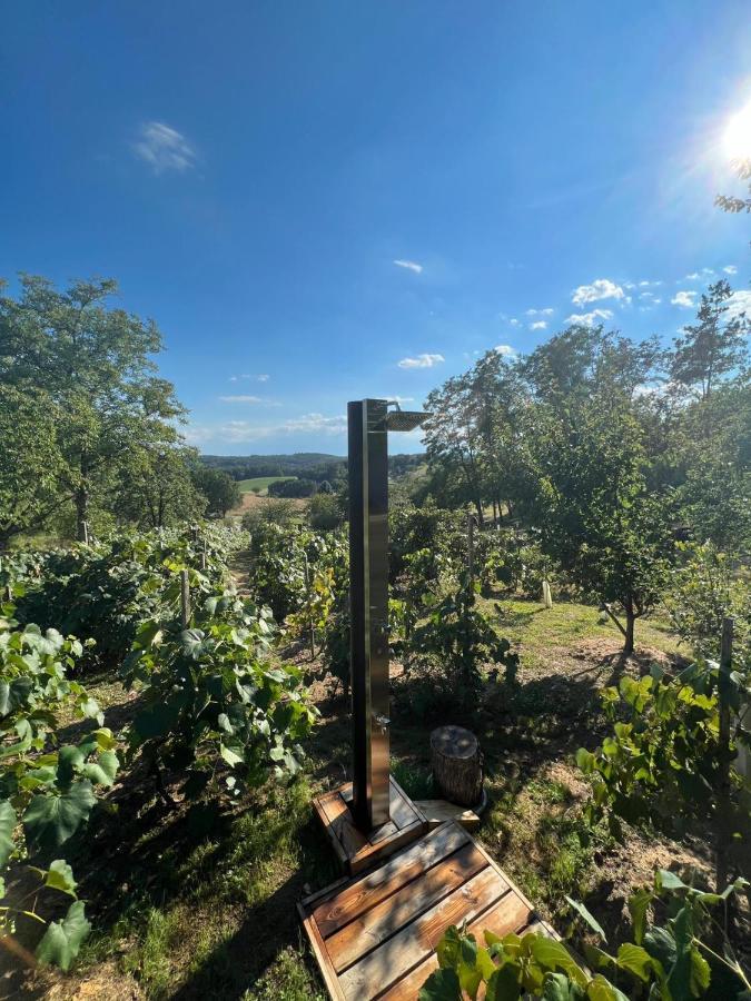Kellerstoeckl Huetter Villa Gussing Luaran gambar